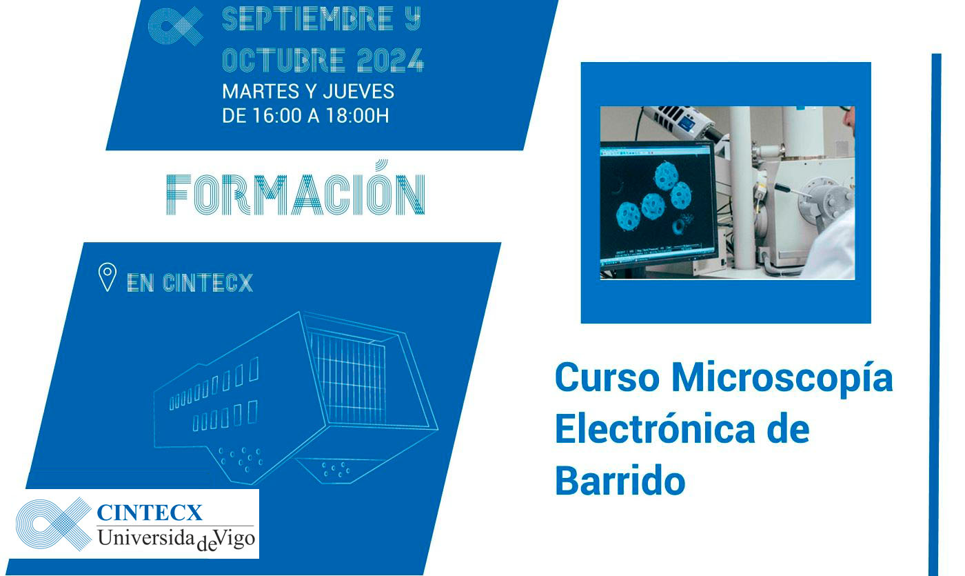 Fundamentos e aplicacións da microscopía electrónica de varrido (SEM) e FIB (Focused Ion Beam)